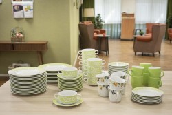 Argos Breede Vliet Hoogvliet - Krul groen